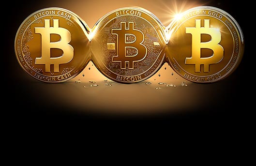 Real money online bitcoin casino with no deposit bonus